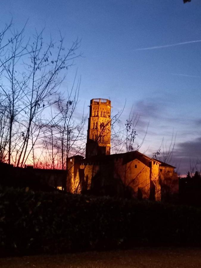 L'encantada- Roulotte * Rieux (Haute-Garonne)